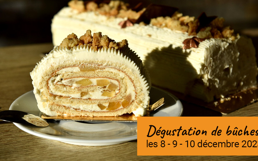 Dégustation de bûches de noël
